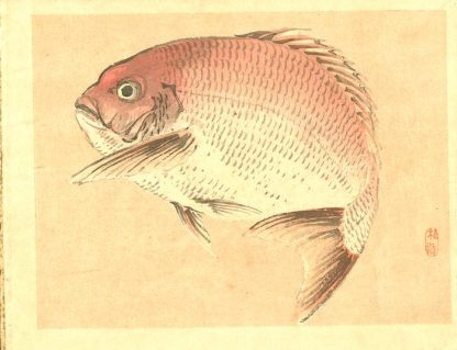 Bairei Kono (1844 - 1895) - Série Bairei Gakan - Poisson - Editeur Unsodo