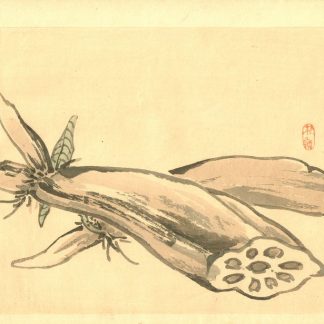 Bairei KONO (1844 - 1895) Daikon (radis japonais)