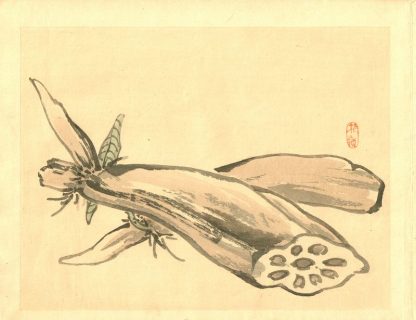 Bairei KONO (1844 - 1895) Daikon (radis japonais)