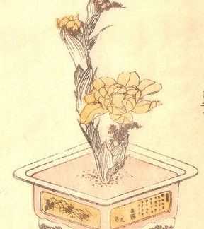 Hokusai - Estampe japonaise originale - 1850 - Ringa e-hon