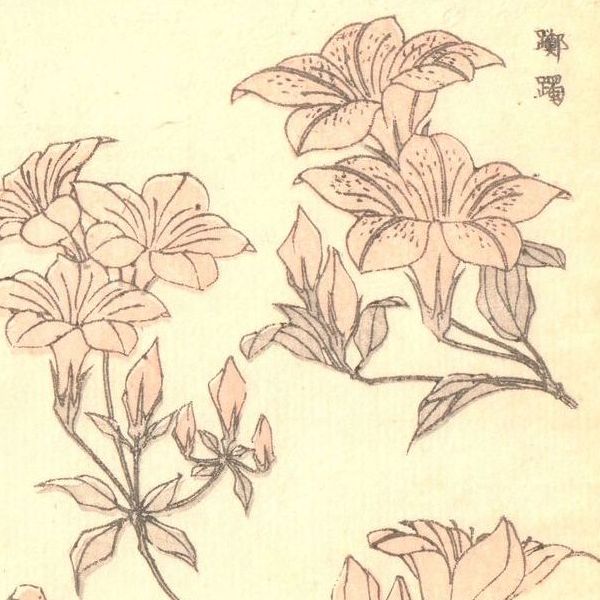 Hokusai - 1850 - Ringa e-hon - Estampe japonaise originale