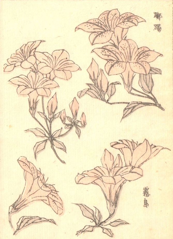 Hokusai - 1850 - Ringa e-hon - Estampe japonaise originale